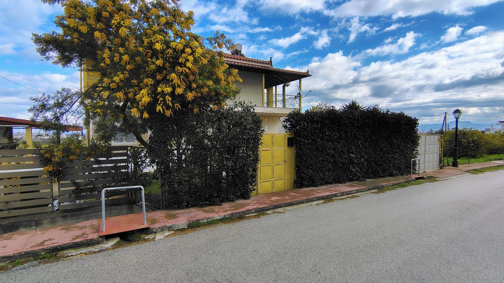 Katia 'S Country House Sikion Екстериор снимка